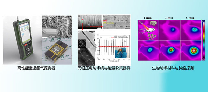 本方向代表性成果：（1）高性能室温氢气传感器件；（2）压电自供电传感器件；（3）体声波生物传感器件；（4）纳米光学生物传感器件